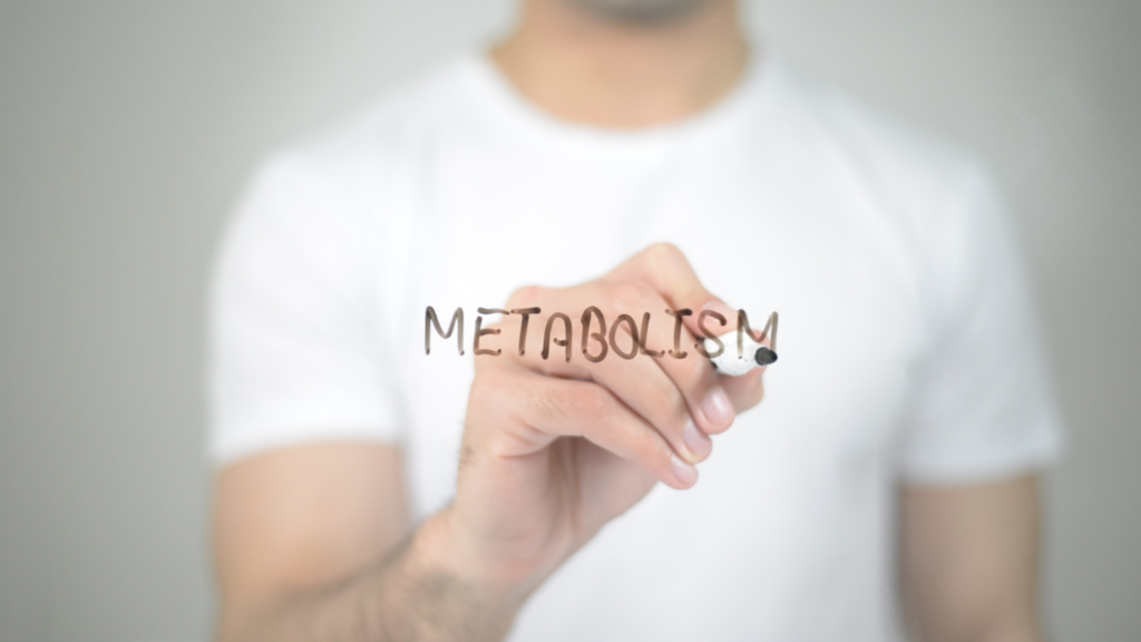 metabolismo y producción de energía